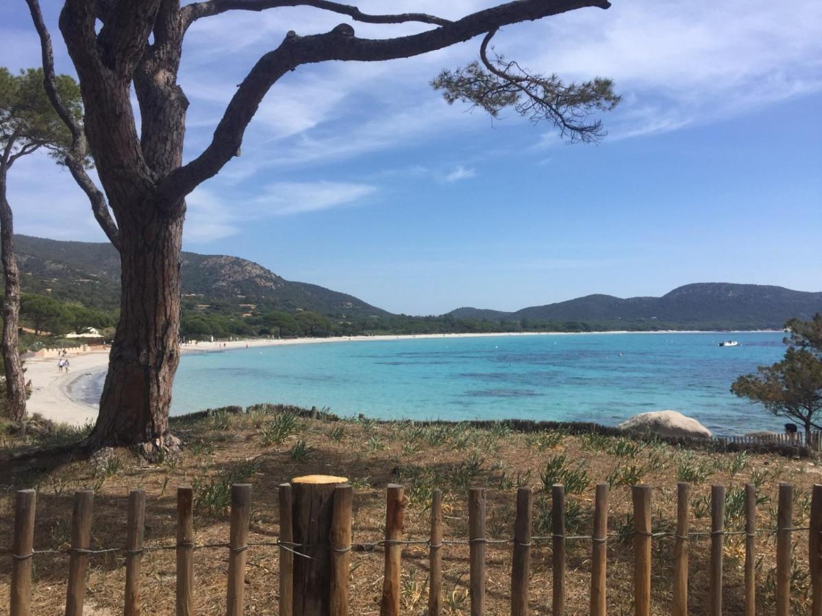Résidence Saint Cyprien plage Porto Vecchio Exterior foto